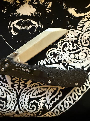 Additional photo of Bear Edge Flipper